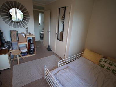 Picture 12